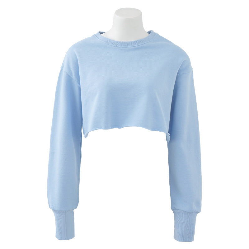 Light blue women's crop fitness sport top with long sleeves and round collar. Perfect for exercising or athleisure styling.